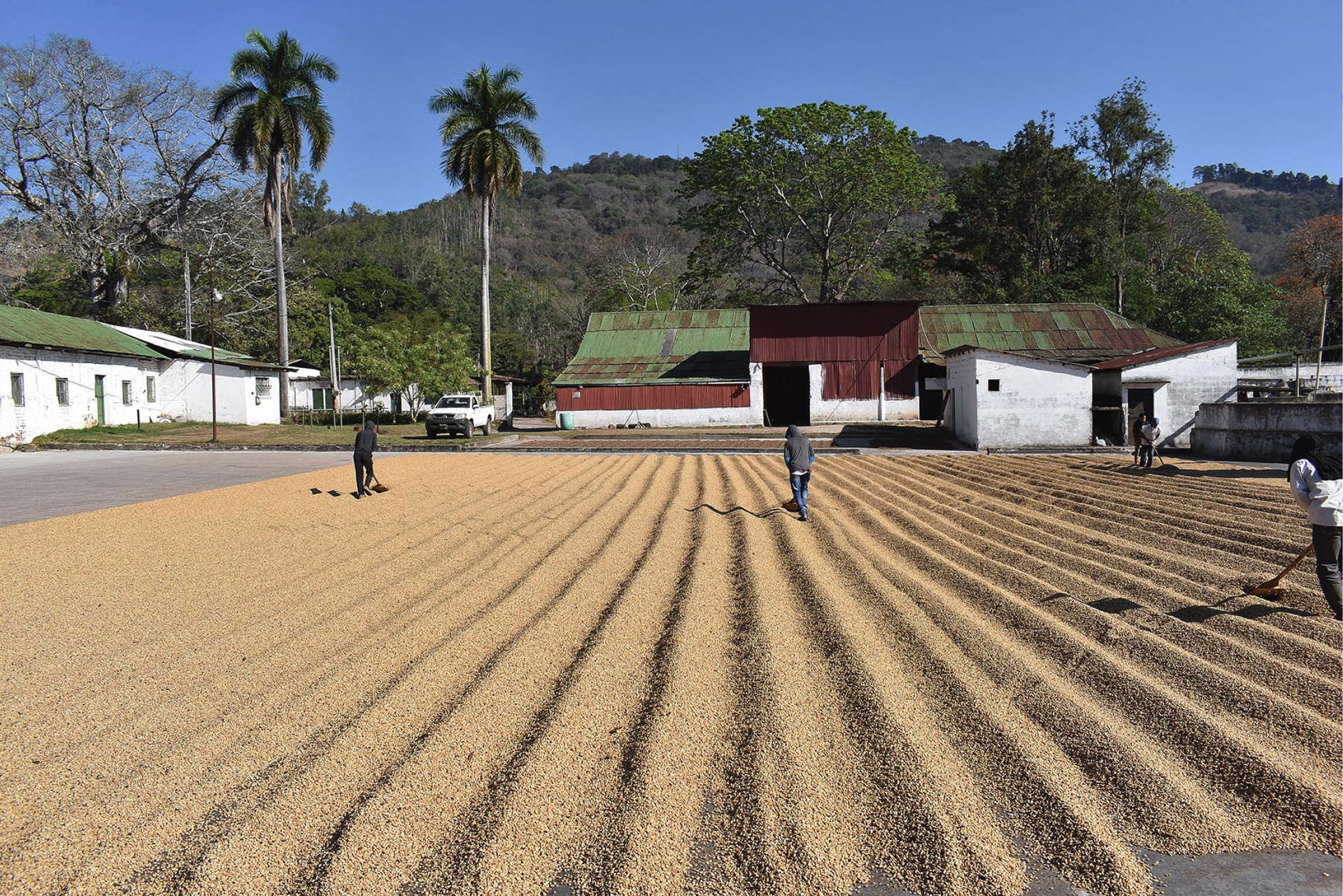 Quality at every stepSanta Rosa, Guatemala